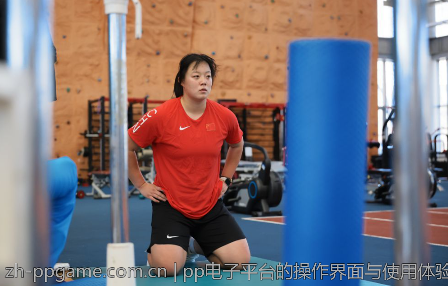 pp电子平台的操作界面与使用体验