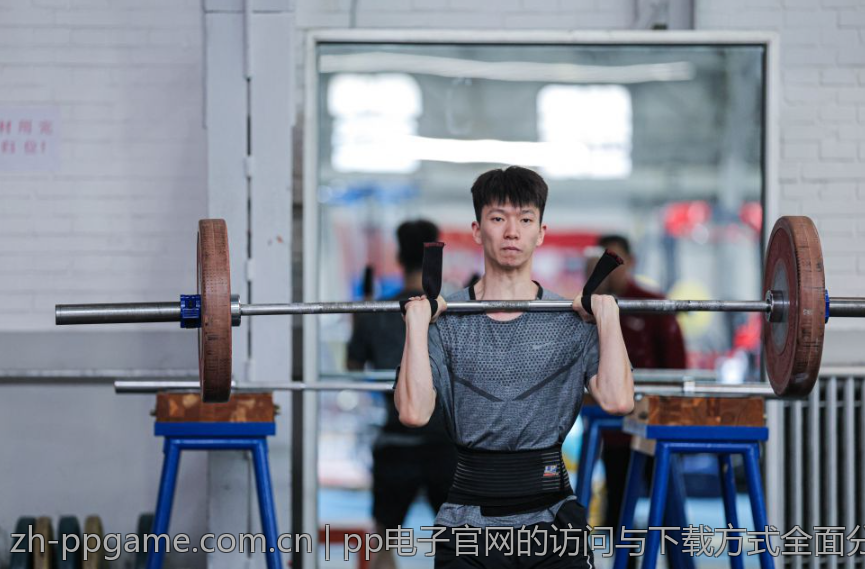 pp电子官网的访问与下载方式全面分析